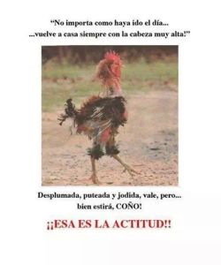 PENSAMIENTO POSITIVO